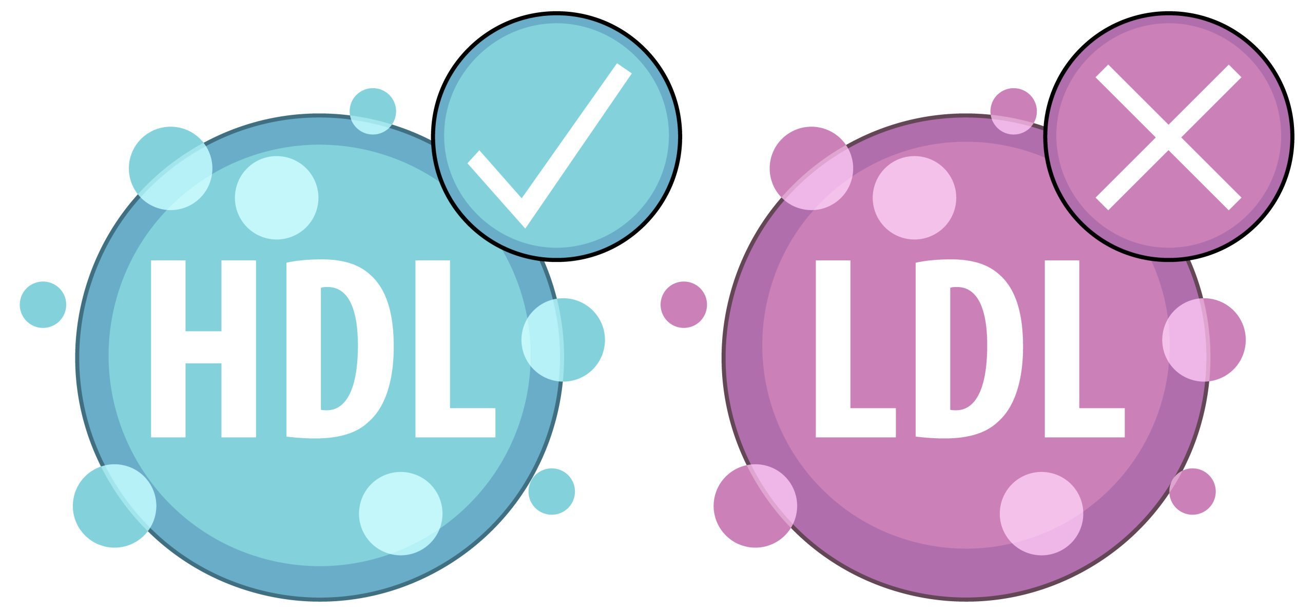 Illustration of good and bad cholesterol types